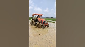 New Cubota Mu 5502 Mud performance with 7 feet Nipa roarter.