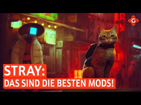 : Das sind die besten Mods