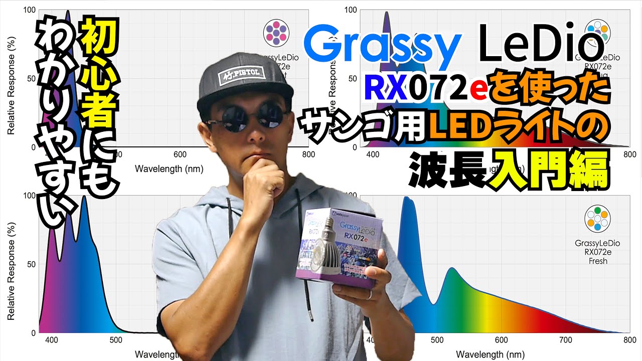 サンゴ水槽】初心者にも分かりやすい。サンゴ用LEDライトの波長入門編