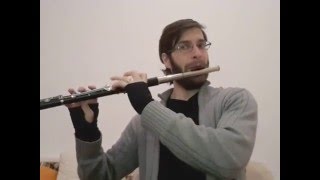 Big Pat's reel on old Irish flute - Schwedler 3