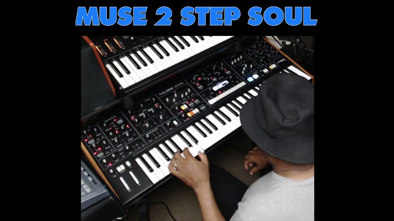2 Stepping on the Moog Muse - split mode