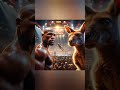 Floyd Mayweather versus Kangaroo Jack promotion #floydmayweather