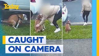 Queensland woman caught on camera not picking up her dog&#39;s poo | Today Show Australia