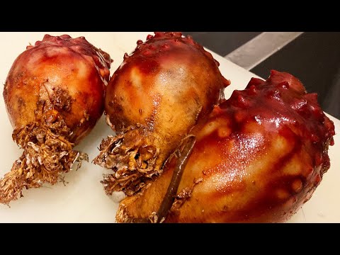 Japanese Street Food - SEA SQUIRT Sashimi Seafood Sea Pineapple