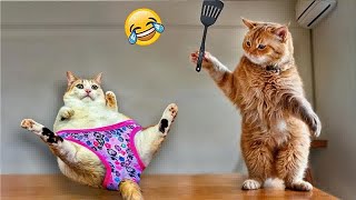Funniest 2024😛Cats and 🥒 Cucumbers - Awesome Funny Pet Videos 😽🐶Part 16