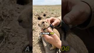 This Tiny Camera Reveals a Hidden Animal Civilization 😳