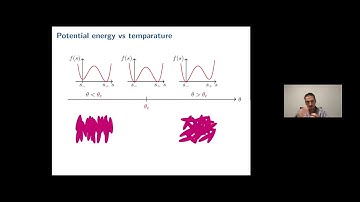 VAPS9: "Sharp-interface limits in the dynamics of phase transitions"