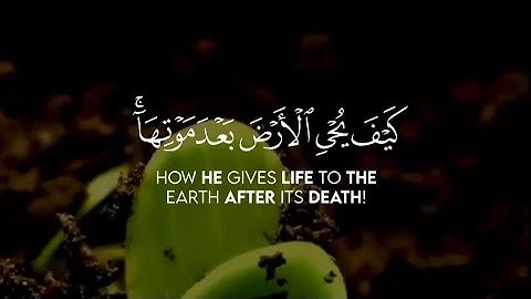 اللَّهُ الَّذِي يُرْسِلُ الرِّيَاحَ فَتُثِيرُ ¦¦سورة الروم :48-50¦¦ سعد أزويت