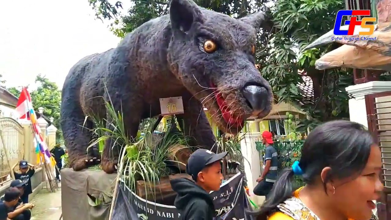 PERSIAPAN ARAK ARAKAN MULUDAN GEGESIK 2022