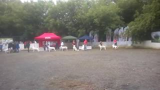 WP 20170709 001