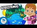Conociendo los Ecosistemas
