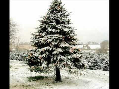 The Littlest Christmas Tree - YouTube The Littlest Christmas Tree - The Littlest Christmas Tree - YouTube