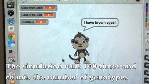 Expanded Genetics Simulation