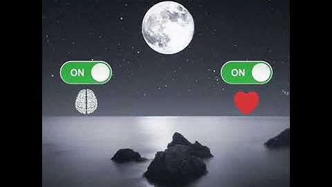 《تلاوة قصيرة القارئ الشيخ ريزكار محمد الكردي》¤▪