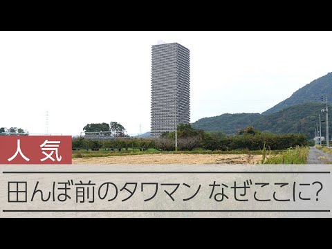 田園風景の中に41階建てタワマン、なぜ？　人気の秘密は