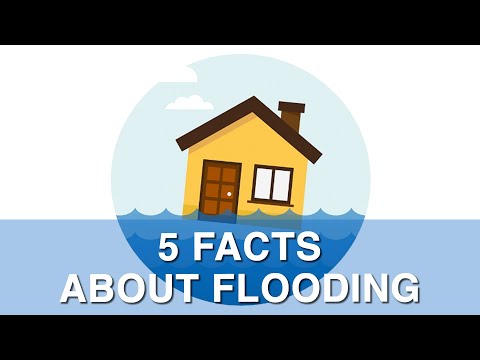 Video: Puoi ottenere un'assicurazione contro le inondazioni se vivi in una zona alluvionale?