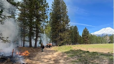 Giving Fire Back to the Forests: Prescribed Burn 101 on McCloud Soda Springs