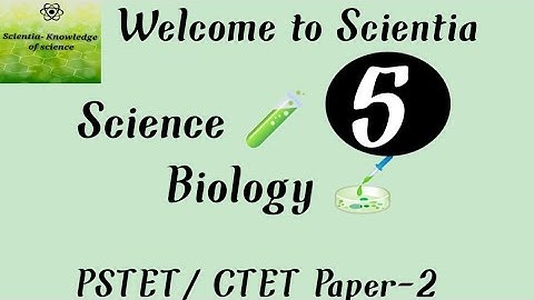 ||Science||Biology||Plants kingdom||PSTET/ CTET Paper-2||