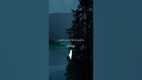 تلاوة جميلة من سورة ابراهيم - الشيخ ياسر الدوسري 😍🎧