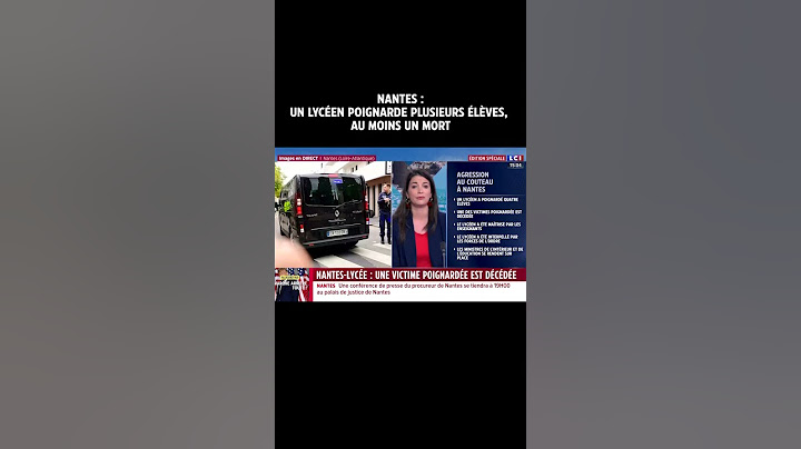 Nantes : un lycéen poignarde plusieurs élèves, au moins un mort｜TF1 INFO