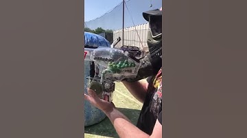 Automag RT Zmag Pinokio Hopper Warpfeed fast gun