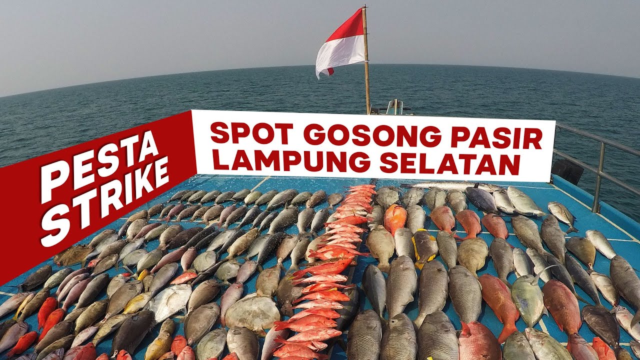 PESTA STRIKE DI LAMPUNG BERSAMA PAGUYUBAN MANCING INDONESIA - KM YAYU DIRGAHAYU