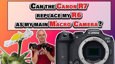 Canon EOS R7 Macro Photography | Focus stacking | Godox MF12 Macro Flash | 32 Megapixel Issues?