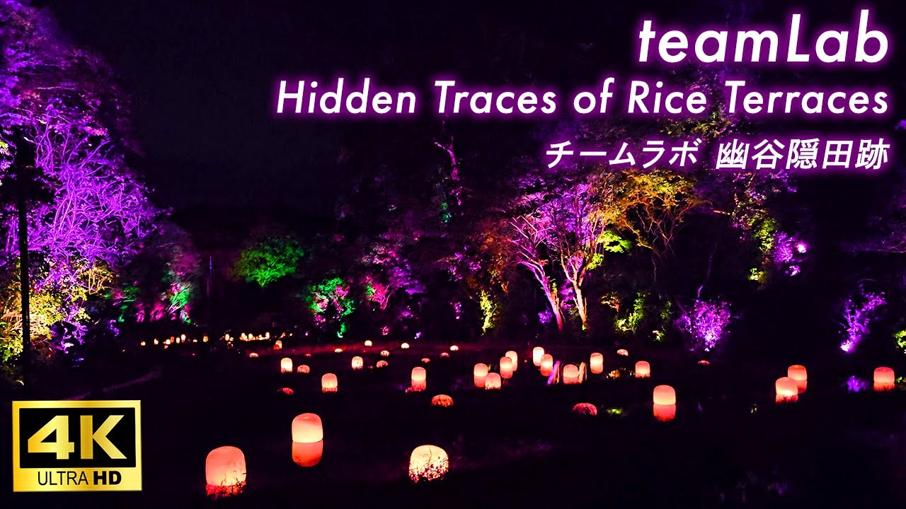 【4K Japan Walk】teamLab Hidden Traces of Rice Terraces откроется 30 сентября 2024 г.