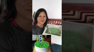 Another Little Story 🎂