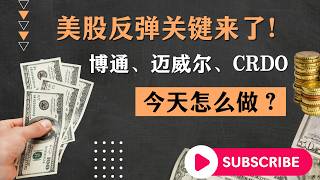 美股9月行情启动？半导体筑底，光通信能否迎来反弹！#美股 #美股直播 #美股行情 #美股分析 #美股投资 #MRVL #CRDO #西部数据 #WDC #美光 #闪迪 #海力士