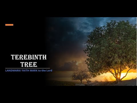 Terebinth tree Gods chosen place