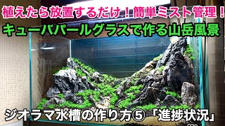 水草を植えたら、後は放置するだけ！キューバパールグラス水草水槽の簡単な作り方「山岳風景ジオラマ水槽⑤ミスト式進捗状況」ADAネイチャーアクアリウム、立ち上げ、熱帯魚、初心者向け、６０cm水槽メイキング