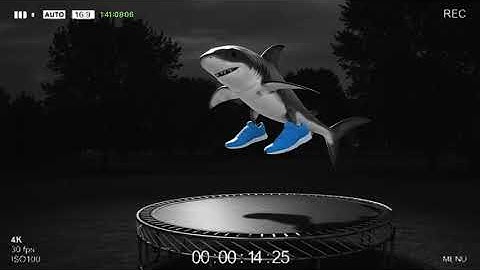 Italian Brainrots Lose Control on Trampolines 🤯🐸 | Hidden Camera Chaos Unleashed