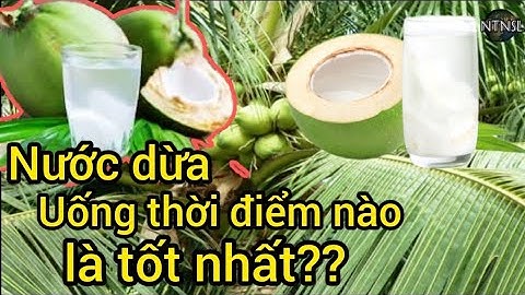 Sức khỏe: Tác dụng của nước dừa, uống nước dừa thời điểm nào tốt nhất? NTN SL