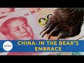 China in the bears embrace  nucleus investment insights china russia