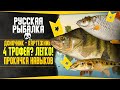 Путь доночника-картежника! в РР4 #8 💥 4 трофея? Легко!| Заработок Серебра! |Русская Рыбалка 4