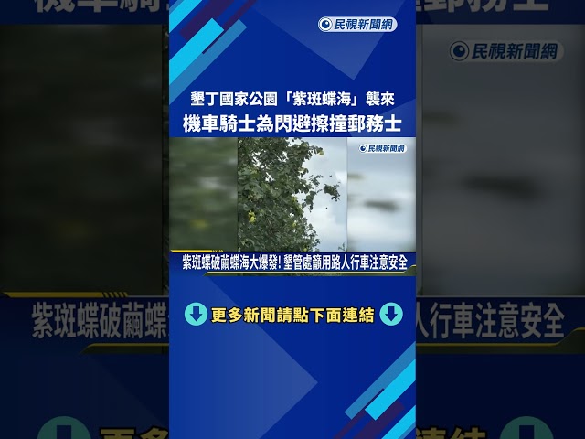 "紫斑蝶海"襲來! 機車騎士為閃避郵務士擦撞雙雙倒地－民視新聞