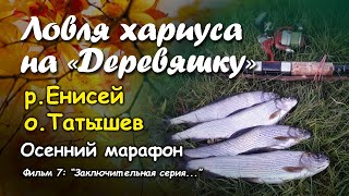 Ловля хариуса на "Деревяшку". р.Енисей,  о.Татышев. Осенний марафон. Фильм 7: "Заключительная серия"