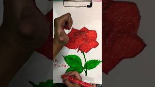 rose ki drawing?with sketches shorts viralvideo youtubeshorts