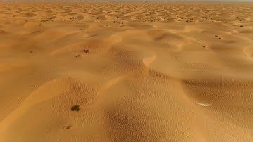 Teaser Lecture Performance "Dark Genesis" by Monira Al Qadiri on 02.07.20