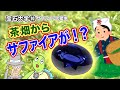 GSTV宝石大学 #10「サファイアの産地」茶畑からサファイアが！？
