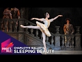 Charlotte ballets sleeping beauty