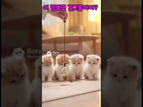 이정도면걸그룹이야?#싱크로율100#냥스틸러TV#냥이안무#귀여운고양이#동물쇼츠#완벽한안무고개춤#funnycats##catshorts#소라2활용#sora2