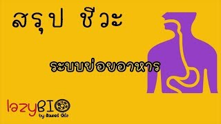 สรุปชีวะ ระบบย่อยอาหาร