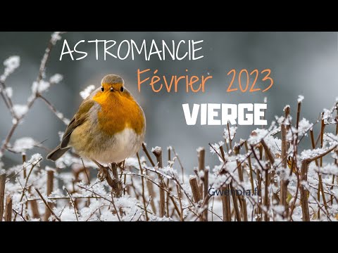 VIERGE FEVRIER 2023 ✨ Touché(e) par la Grâce ! ✨