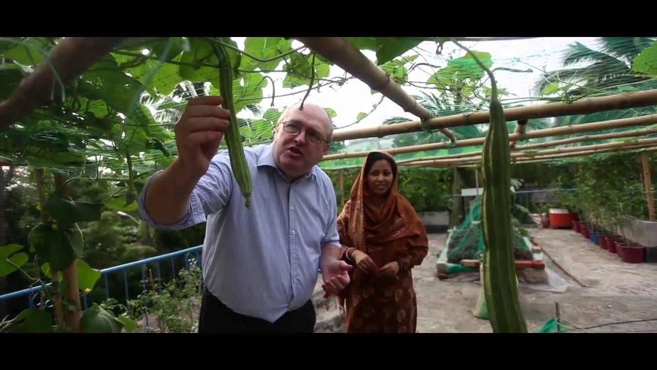 FAO Bangladesh experiments with roof-top garden (1 min) - YouTube