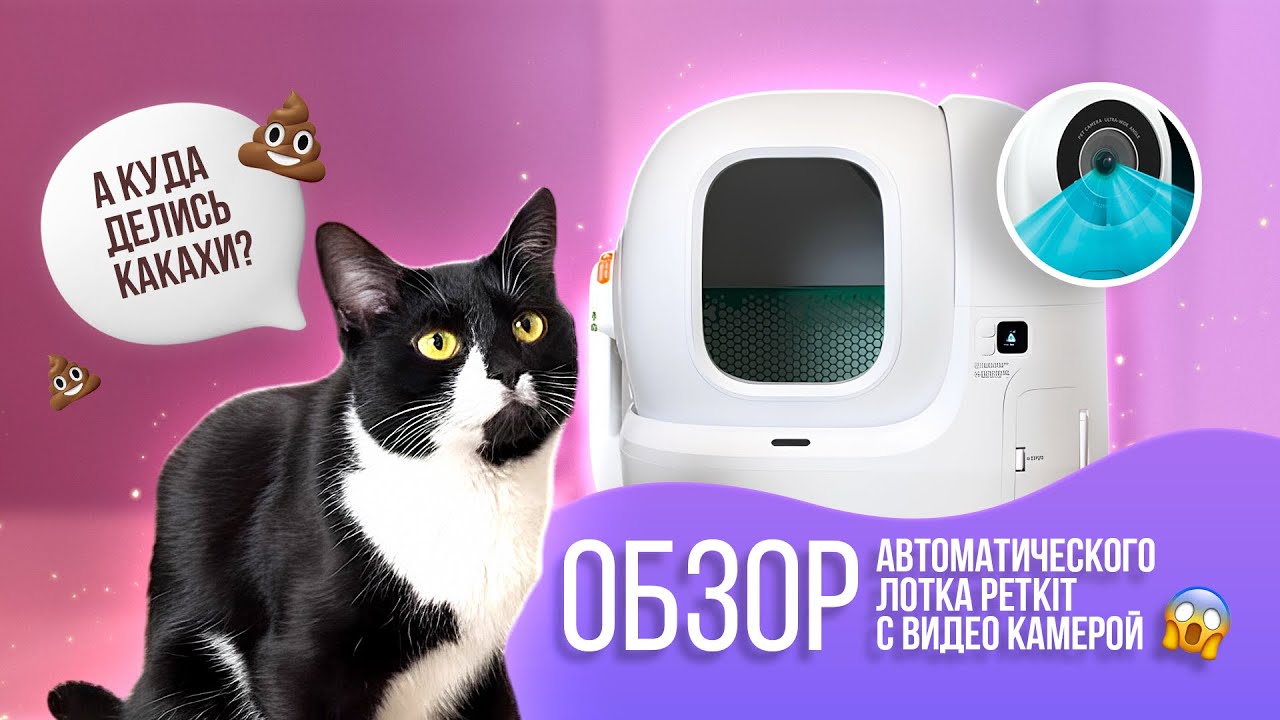 Обзор автоматического лотка Petkit Purobot Max Pro / Одобрил ли его особенный кот Барик?