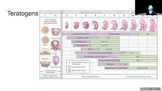 Development/LifeSpan