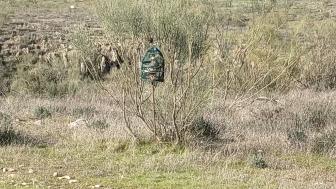la faena del solitario