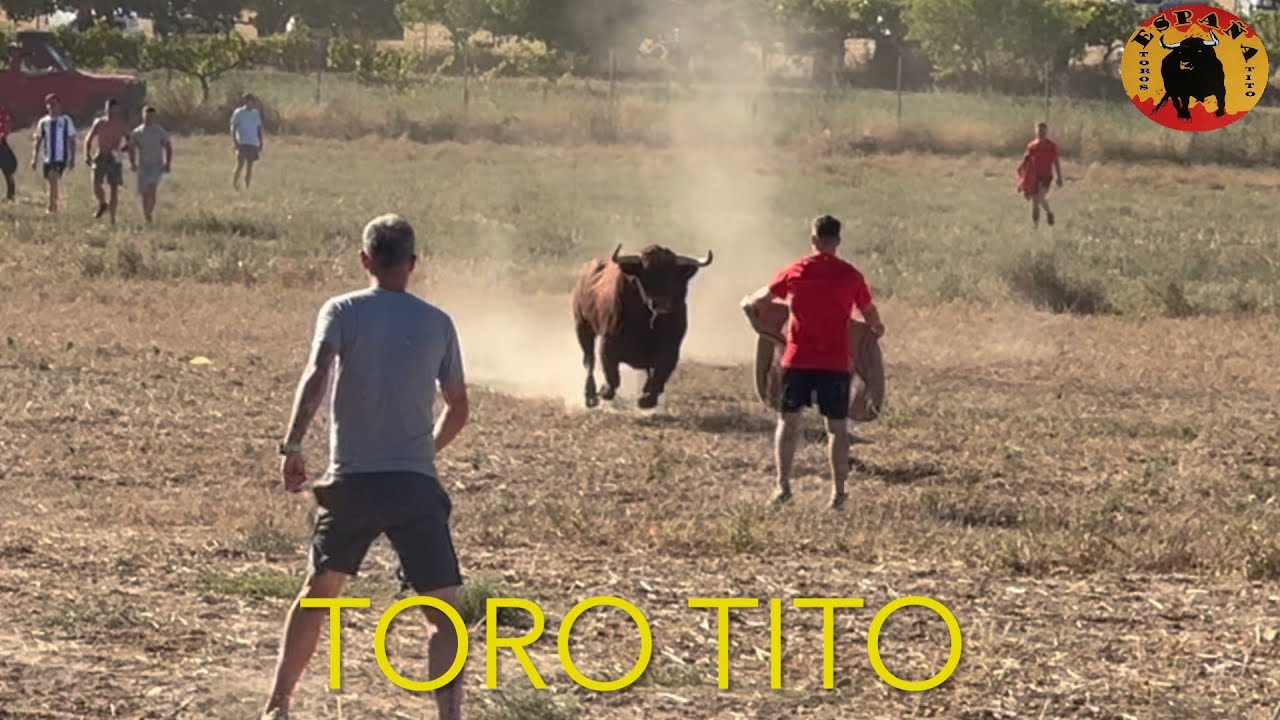 Horche encierro campero 10 sep 2024
